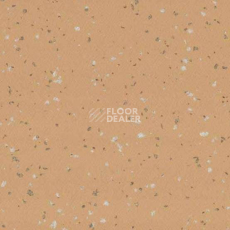 Линолеум Taralay Premium Indiana 8262 Rodrigues фото 1 | FLOORDEALER